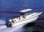Just Look N Great Lakes Charters